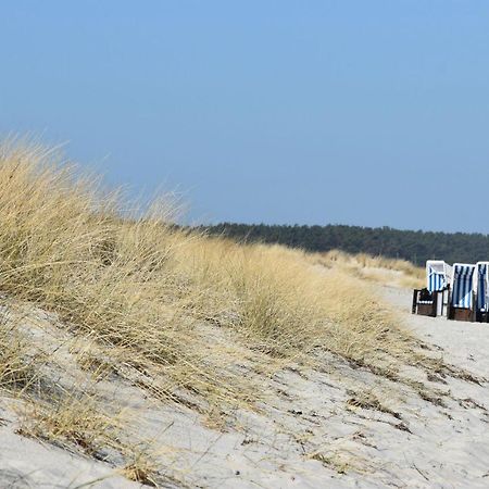 Ferienwohnungen Am Bernsteinweg Prerow Zewnętrze zdjęcie