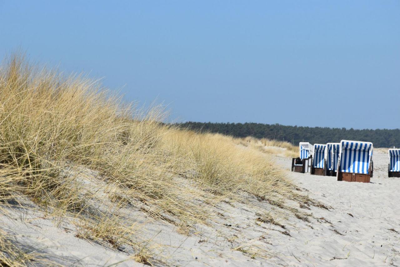 Ferienwohnungen Am Bernsteinweg Prerow Zewnętrze zdjęcie